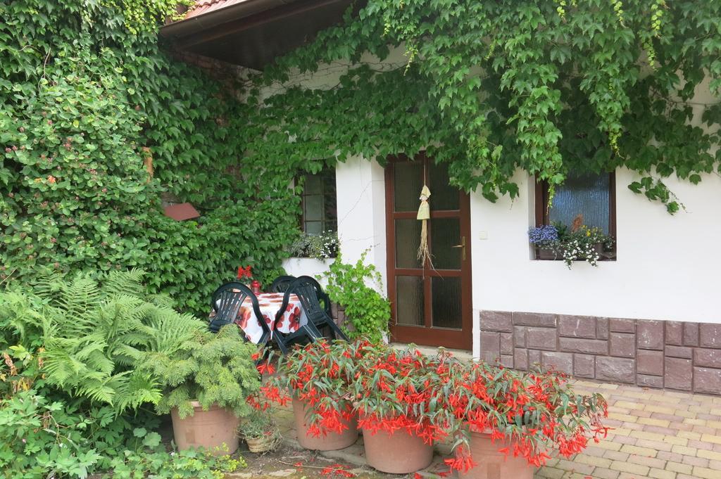 La Ferme De Sissi Apartment Smrzice Cameră foto