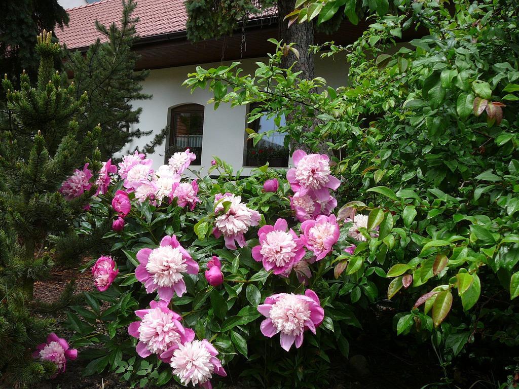 La Ferme De Sissi Apartment Smrzice Exterior foto